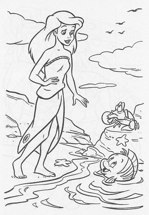 colorear-ariel_21 colorear-ariel_21