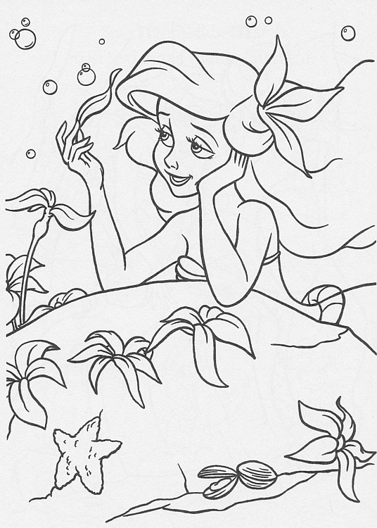 colorear-ariel_30 colorear-ariel_30