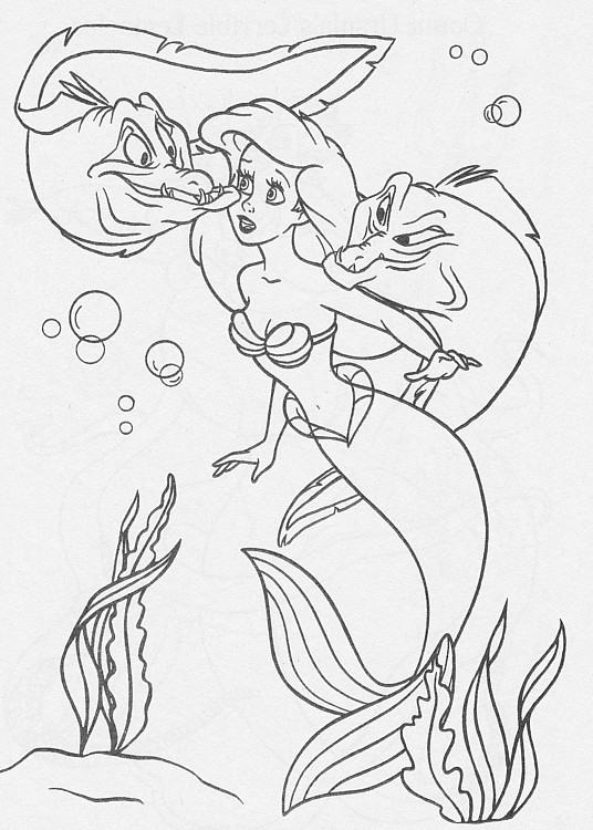 colorear-ariel_43 colorear-ariel_43