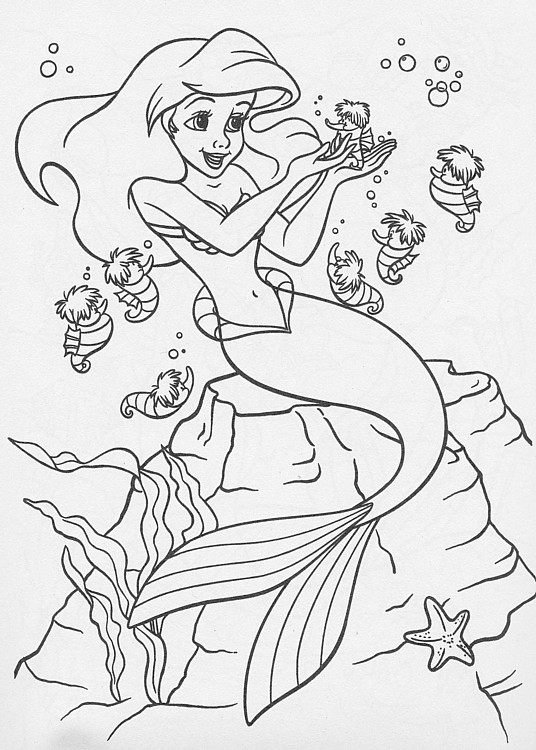 colorear-ariel_61 colorear-ariel_61