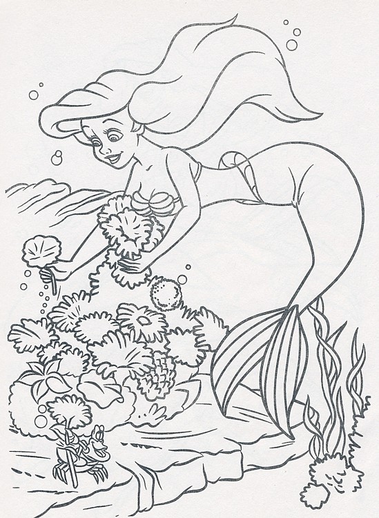 colorear-ariel_81 colorear-ariel_81